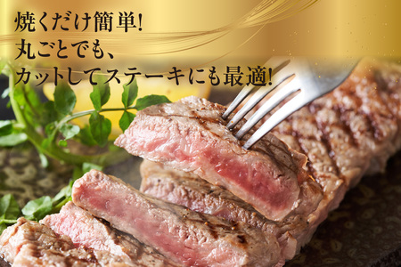 東浦町産黒毛和牛『下村牛』特選サーロイン塊肉（約1kg）