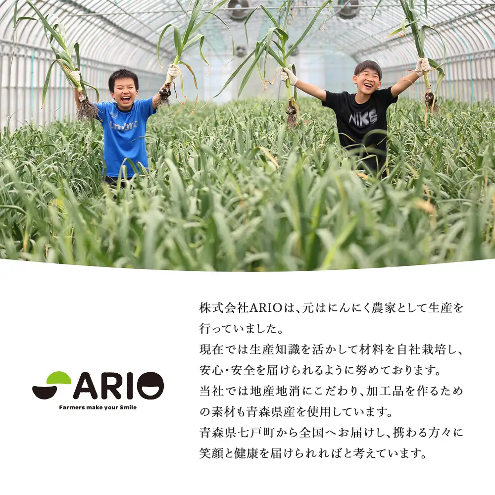 冷凍とろろ　500g×1パック　【02402-0384】