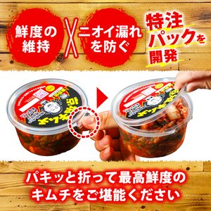 キムチ 【300g × 3】 合計 900g 白菜キムチ
