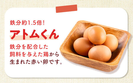 安田養鶏場のたまご アトムくん 30個入 AKHN002 たまご
