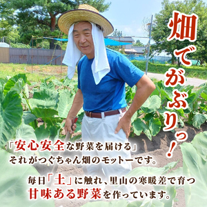 【先行予約】新潟黒十全なす 新鮮 朝採り 採りたて 1kg 令和8年産 茄子 ナス 特産品 野菜 夏野菜 つぐちゃん畑 新潟 新潟県 新発田産 新発田市 tsuguchan002_01