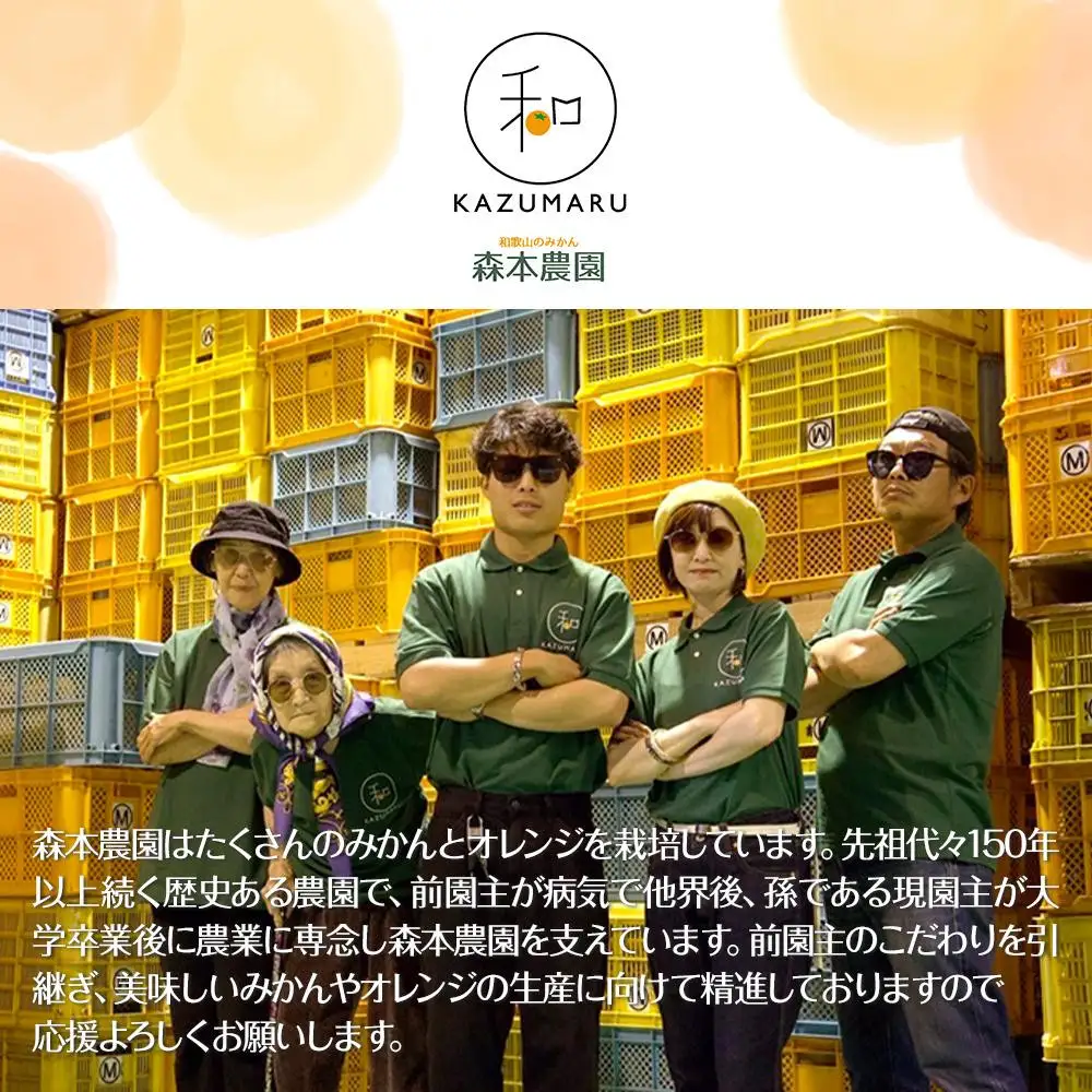 訳あり 森本農園の手選別 甘夏みかん 約6kg 和歌山県産 サイズ混合 ［北海道・沖縄・離島配送不可］［2026年4月上旬から順次発送］［RN74］