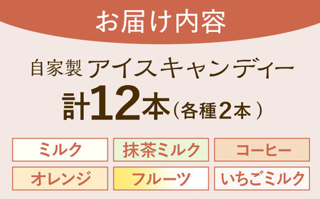 【手作りアイス】 6種類 アイスキャンディー 詰め合わせ 12本入り 食べ比べ 無香料 無着色 多治見市 / エイシン フルーツ いちご 抹茶 オレンジ ミルク コーヒー アイス 無添加 自家製[THD011]