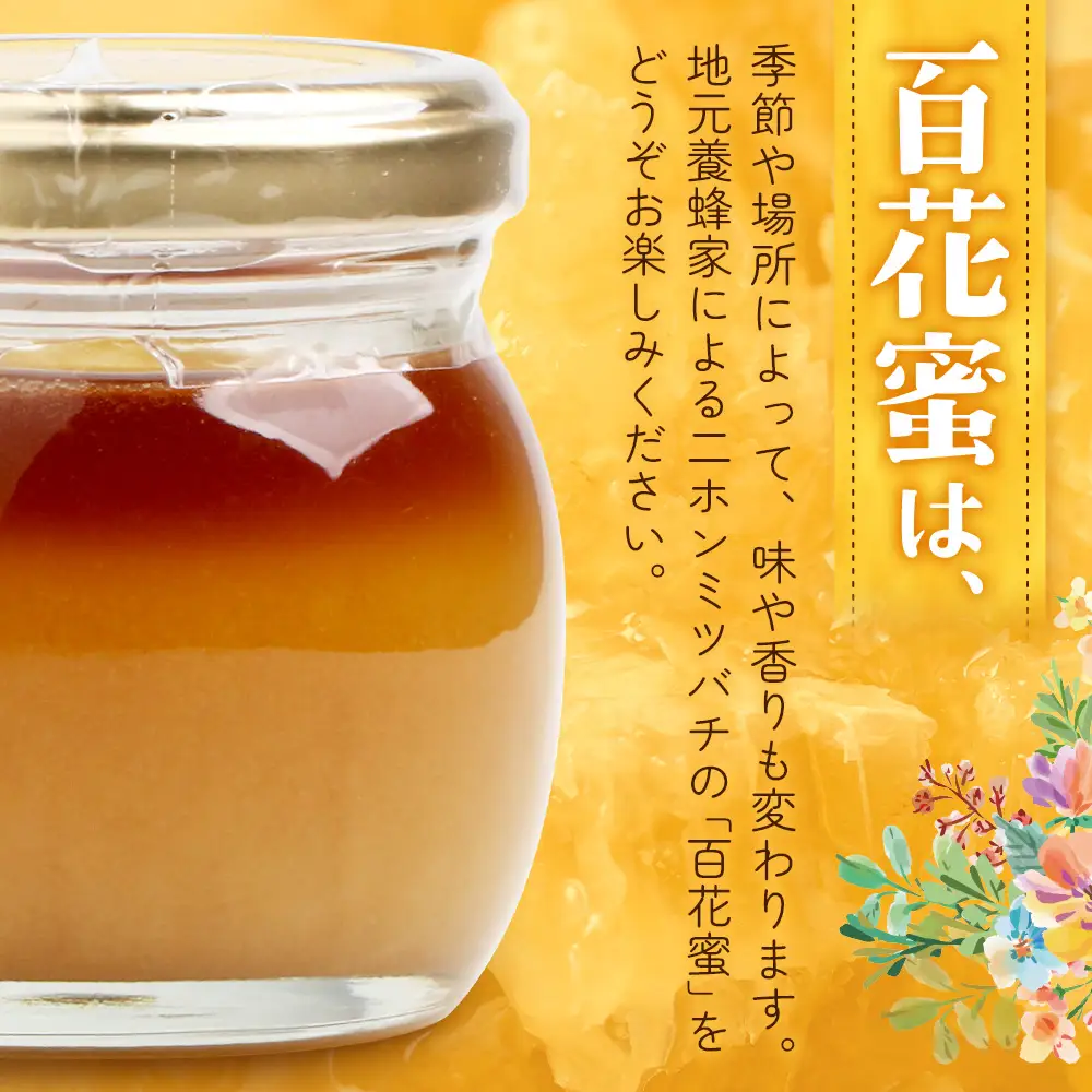 はちみつ 蜂蜜 3種 セット（100g×3個）31 Honey《数量限定》MM-1｜国産 はちみつ ハチミツ 蜂蜜 養蜂 ハニー 百花蜜 百花はちみつ 日本みつばち 天然 非加熱 産地直送 鹿児島県 南大隅町 南大隅町日本みつばち研究会
