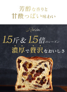 累計7万斤完売! デニッシュ食パン 2本セット (たっぷりレーズン1.5斤＋プレーン1斤) 食パン