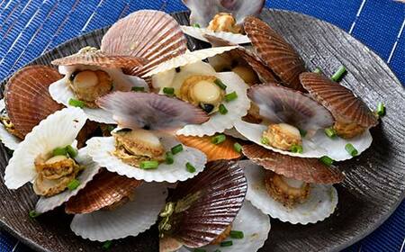 冷凍 稚貝ほたてのガンガン焼き 1.5kg 北海道噴火湾産 海産物 加工品 ほたて 帆立 ホタテ 魚介類 海鮮 森町 ふるさと納税 mr1-0981