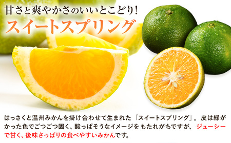 【先行予約】訳あり スイートスプリング 5kg 柑橘