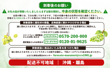 【先行予約】《2026年9月下旬～11月下旬出荷》 宮城県丸森町産 シャインマスカット　2房(1房 600g以上)【4800302】