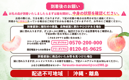 【先行予約】《7月中旬～9月中旬出荷》 宮城県丸森町産 桃 5～8玉（約2kg）【4800401】