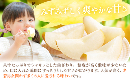 秀品 梨 幸水 約5kg 井岡農園 梨 なし