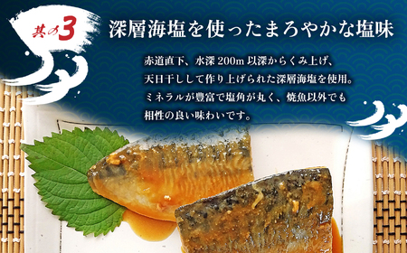 サバ 訳あり 塩さば 切り身 約1kg