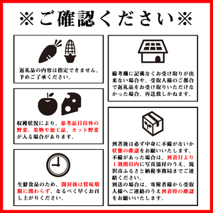 岩手県産 野菜セット 11品 ～ 13品 ／ 野菜 やさい 詰め合わせ 詰合せ 詰合わせ 旬 新鮮 国産 季節 季節野菜 おまかせ 春野菜 夏野菜 秋野菜 山菜 葉野菜 葉物 根菜 果菜 冷蔵 冷蔵発送 家庭用 自宅用 仕送り 人気 おすすめ 岩手県 滝沢 滝沢市