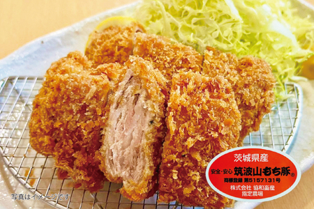 【楽ちん 冷凍とんかつ・牛かつ】茨城の旨い肉フルセット！いばらきの恵み詰合せスペシャル（常陸牛かつ×1、雨情の里牛かつ×1、ローズポークロースかつ×1、筑波山もち豚ロースかつ×1、筑波山もち豚ミルフィーユかつ×2、茨城メンチかつ×2）_BL033