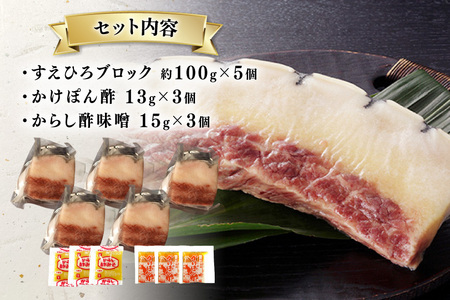 BJ144 すえひろ ブロック 100g×5個セット 計500g [ 長崎県 島原市 ]