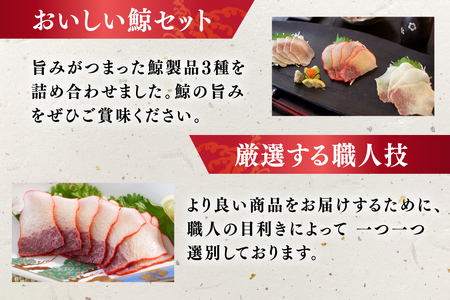 BJ152 美味しい 鯨 3種詰め合わせDセット 計300g( ベーコンブロック すえひろブロック さえずりブロック )[ 長崎県 島原市 ]