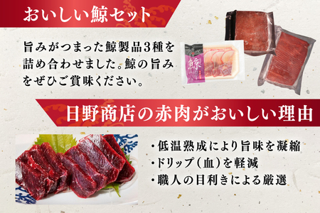 BJ149 美味しい 鯨 3種詰め合わせAセット 計440g ( 胸肉 背肉 ベーコンスライス ) [ 長崎県 島原市 ]