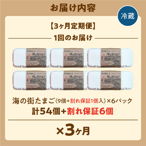 【定期便】飛ぶ鳥農場　海の街たまご　60個×3か月  ｜ 鶏卵 平飼い 有精卵 北海道石狩市