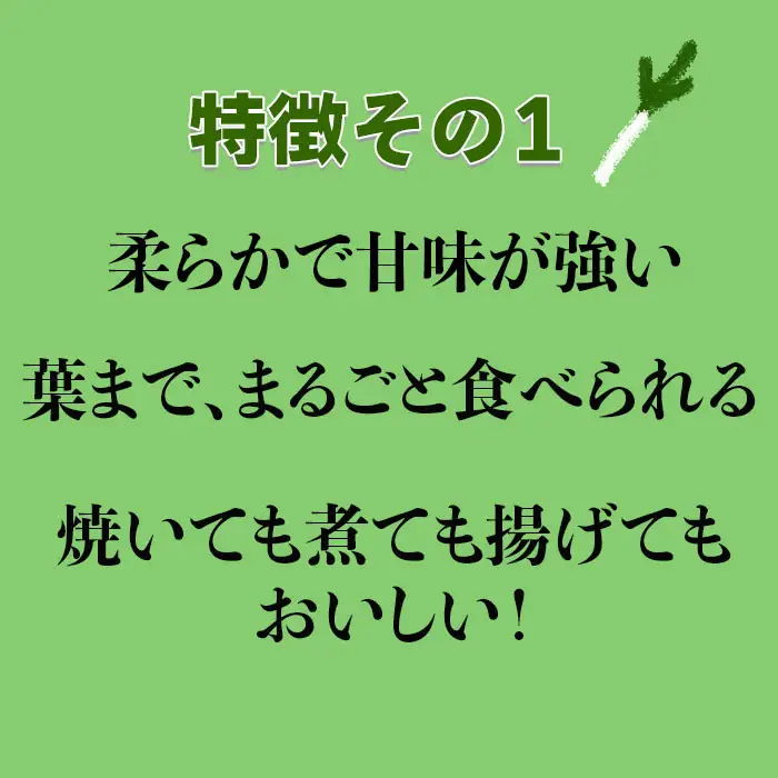 出雲神在（かみあり）ねぎ