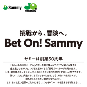 【数量限定】超ディスクアップ2（品川区専用デザイン）