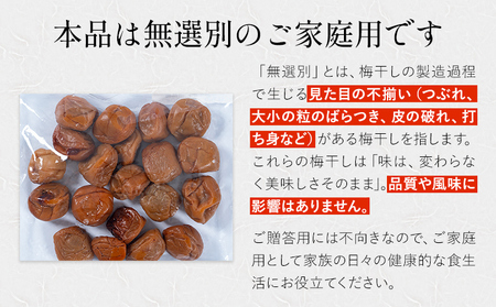 ご家庭用 紀州南高梅 梅干し 220g×2袋 うめ