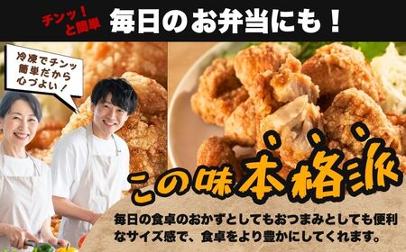 大分名物 からあげ 下味しょうゆ×10袋 | からあげ 津久見市 唐揚げ