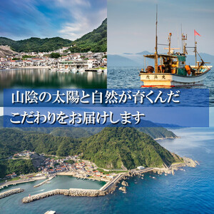 天然釣りレンコ鯛（下処理済）
