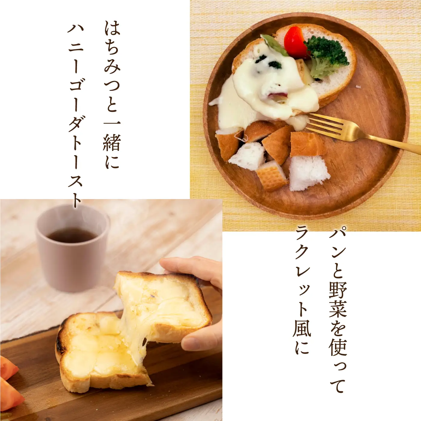 チーズ工房特製 ゴーダチーズ500g