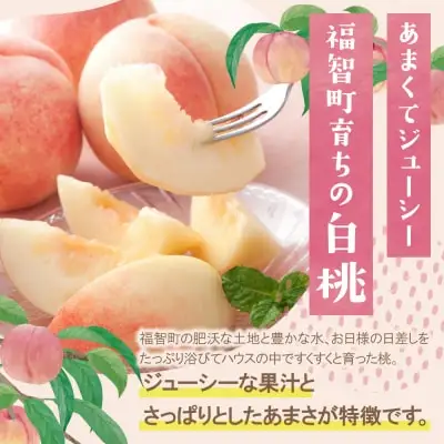 Y99-83 【2026年発送】 ★先行予約受付開始★ ふくふく果実定期便(隔月・年2回)  フルーツ