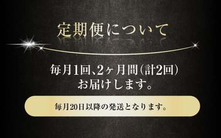【2ヶ月定期便】アサヒ スーパードライ（合計48本）500ml×毎月1ケース（24本）=計2回お届け