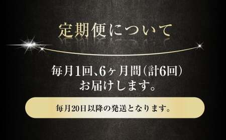 【6ヶ月定期便】アサヒ スーパードライ（合計144本）500ml×毎月1ケース（24本）=計6回お届け