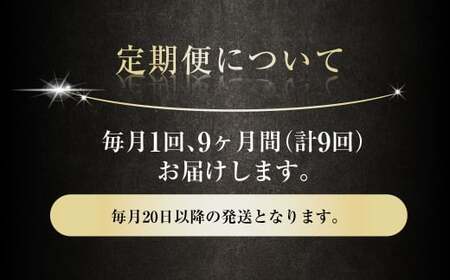 【9ヶ月定期便】アサヒ スーパードライ（合計216本）500ml×毎月1ケース（24本）=計9回お届け