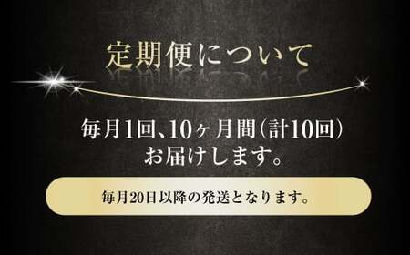 【10ヶ月定期便】アサヒ スーパードライ（合計240本）500ml×毎月1ケース（24本）=計10回お届け
