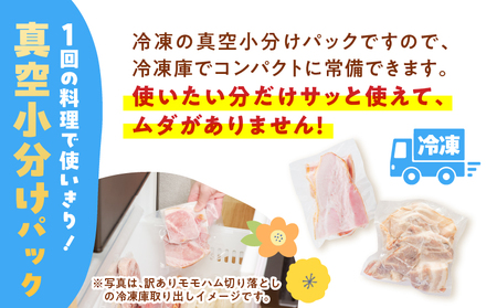 【 訳あり 】 どれがお好み？食べ比べセットB（ 訳あり切り落としベーコン ・ 訳あり無塩せき乾塩ベーコン切り落とし ） K161-026b 肉 豚肉 冷凍