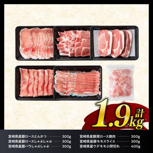 豚肉 ヒルナンデスで紹介！【令和8年7月発送】宮崎県産 豚肉 6種1.9kg 小分け セット