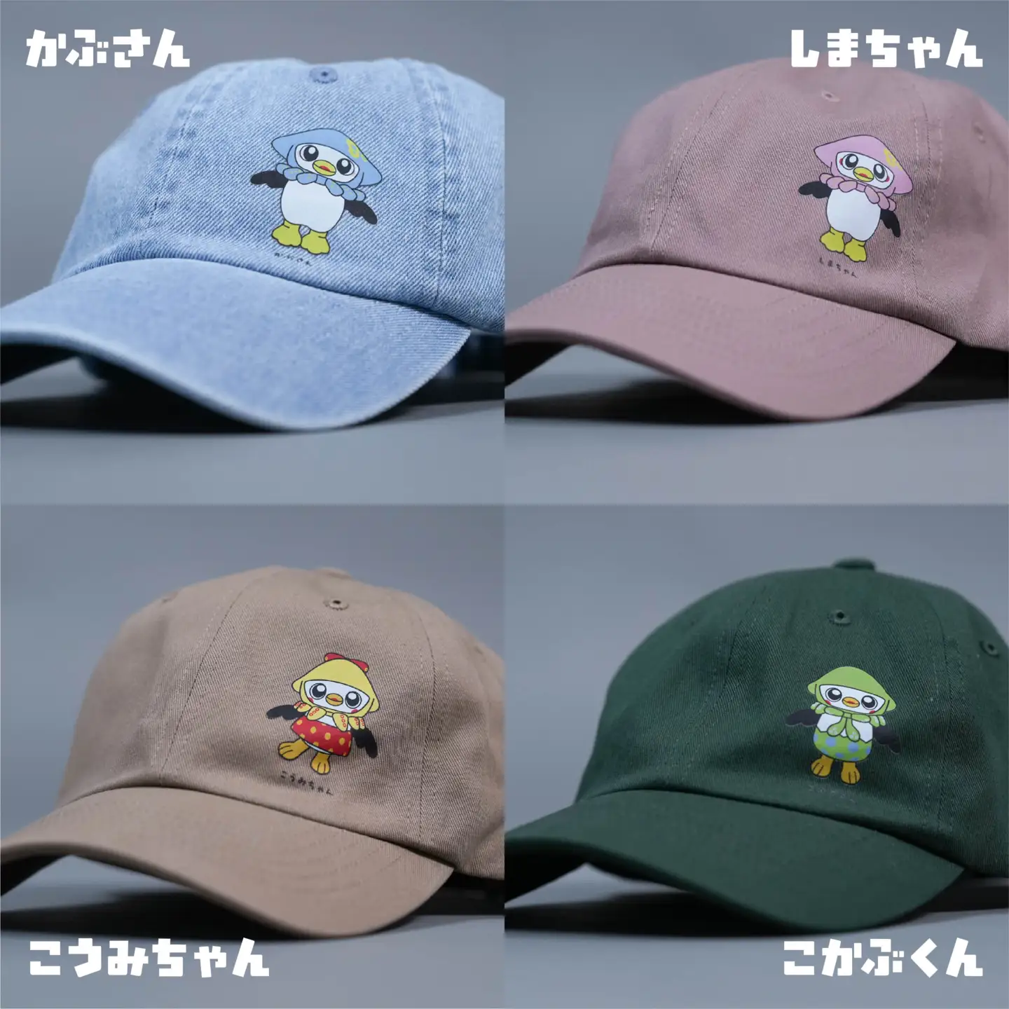 いかずきんズキャップ ファミリーセット 青森県 八戸市