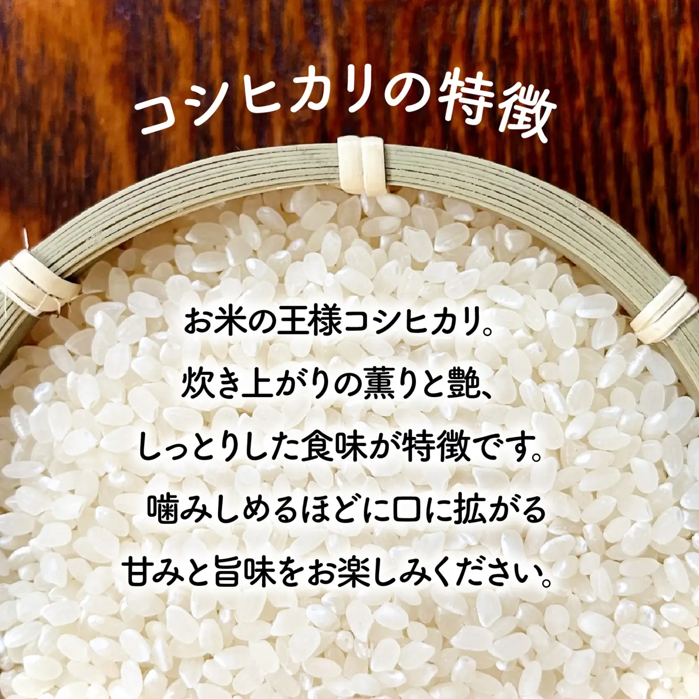 【令和7年産】こしひかり 6kg（2kg × 3袋）|  コシヒカリ お米