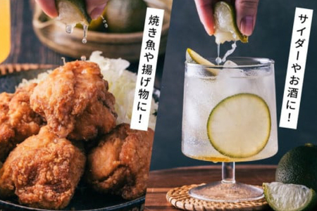 焼酎 へべす果汁とあくがれ黒 各1本 晩酌セット [日向市観光協会 宮崎県 日向市 452061428]