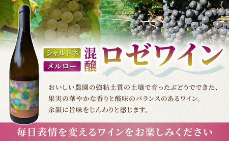 【おいしい農園】メルローワイン「御牧原503」ロゼワイン「御牧原504」セット（各1本）ワインワインワインワインワインワインワイン