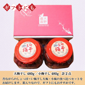 梅干 大梅 小梅 各480g 《 2025年10月～出荷 》 梅干