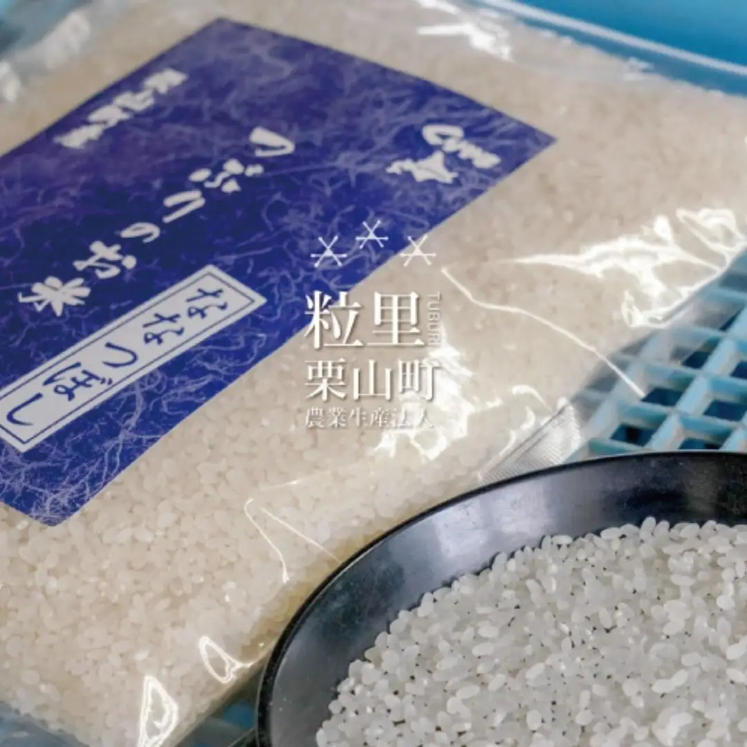 ななつぼし 精米 5kg 北海道栗山町産 粒里米