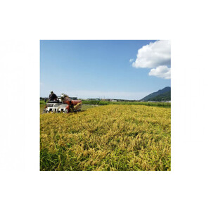 出雲の食べる発酵生みそ詰合せ250ｇ×５個