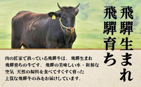 【訳あり】飛騨牛づくし定期便【1月・4月・7月・10月発送】 | 黒毛和牛 和牛 肉 牛肉 切落し 小分け 肉の匠家 BV105