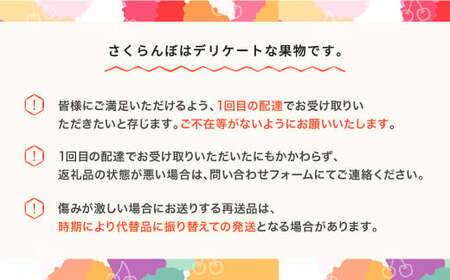 先行予約 さくらんぼ 紅秀峰 令和8年産 ja-bsslb700