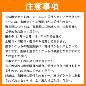 フォレストアドベンチャー 祖谷 アドベンチャーコース 2名 チケット 観光 【 観光 】