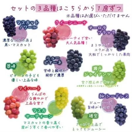 【2026年先行受付】岡山　花笑み農園の『食べ比べ4種』シャイン入り　家庭用　2kg(4房)4M-2【配送不可地域：離島】【1650753】