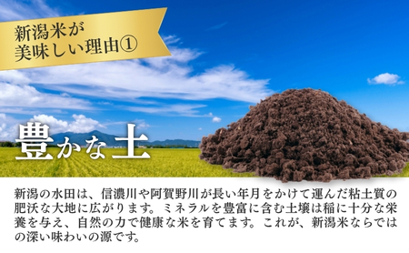 R7年産米【定期便】新潟産コシヒカリ5kg×3回