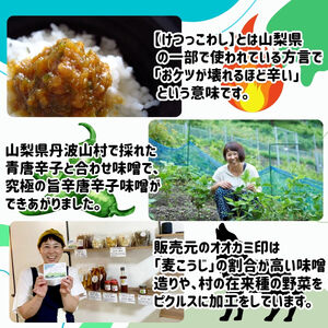 激辛国産青唐辛子味噌「けつっこわし」 【100ｇ×2本】辛くておいしい無添加合わせ味噌 【tab0223-202】