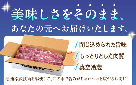 真空冷蔵 豚肉ヒレブロック 2本[OCJ002]
