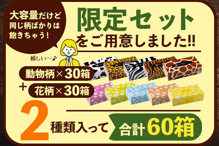 プラムファッション/ANIMAL ボックスティッシュセット 5箱×6パック×2種 合計60箱