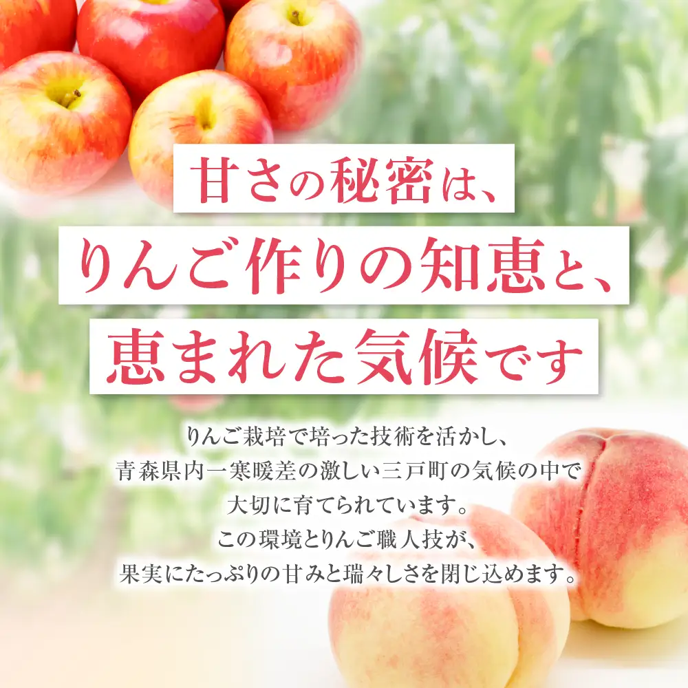 【2025年発送分残り僅か】桃 約5kg (15～18玉) 「ぴちパ　ピーチ」 桃 桃 桃 桃 桃